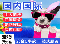 兰旗航空物流国际宠物托运 【国